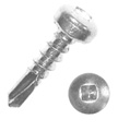 SDX Screw and Head