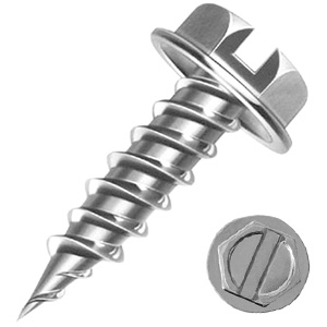 ZD Screw and Head